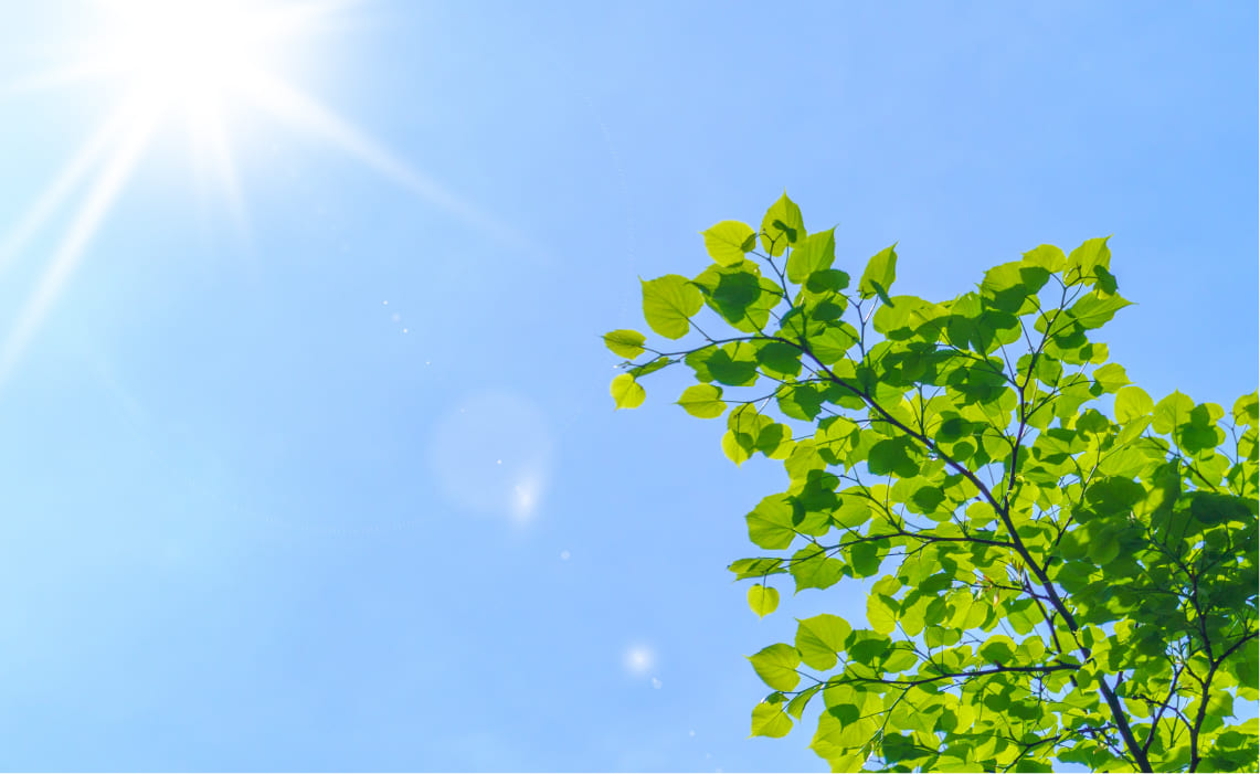 その他の取り組み